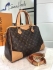 Louis Vuitton Bag 009